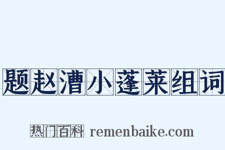 题赵漕小蓬莱组词是什么意思的图片